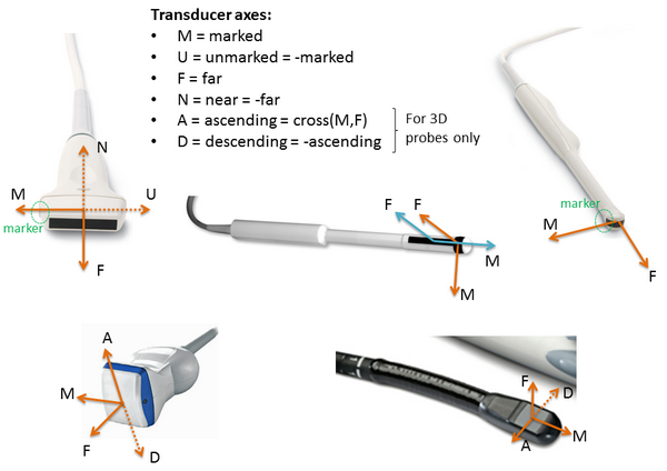 UltrasoundImageOrientationTransducerAxes.png